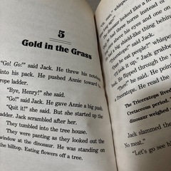 【お取引中】マジックツリーハウス（英語版）ペーパーバック42冊セットの画像