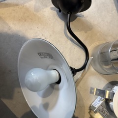 電球の画像