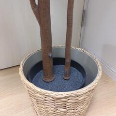 IKEA　フェイクグリーン　FEJKA フェイカ ＋ FRIDFULLの画像