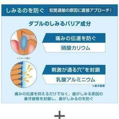 本日限定お値下げ‼️2本セット‼️お買い得‼️【G・U・M歯磨き粉 】の画像