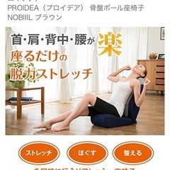 骨盤ポール座椅子の画像