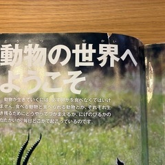 動物　学研　図鑑　LIVE (DVDなし)　　の画像