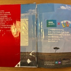 動物　学研　図鑑　LIVE (DVDなし)　　の画像