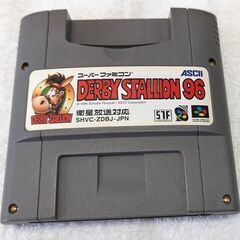 ☆スーパーファミコンソフト　1本　ダービースタリオン９６　中古品　