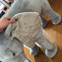 80キロまで乗れるゾウの画像