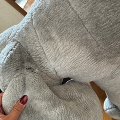 80キロまで乗れるゾウの画像