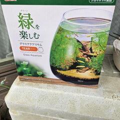 GEX ガラスアクアリウム Tear メダカ鉢 金魚鉢の画像