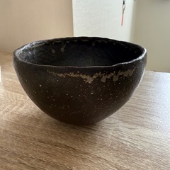 観葉植物まとめ買いの画像