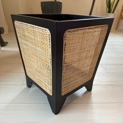 観葉植物まとめ買いの画像