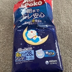 朝までもれ安心　夜用ビック