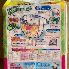 ペット用　オムツ4パック の画像