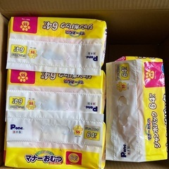 ペット用　オムツ4パック の画像