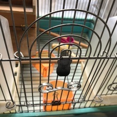 鳥かご＆おもちゃの画像