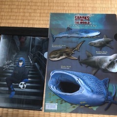 　全て未使用品　コナン　東リべ　ブルーロック　スパイファミリー　サメ　ウインドブレーカー　クリアファイル、下敷き　9枚の画像