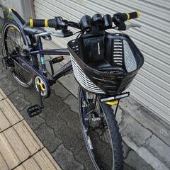 [BRIDGESTONE]CFJ47(クロスファイヤージュニア)24型 MTB 外装7段/コスモバイオレットの画像
