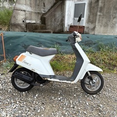 HONDA イブPAX AF14　実働　旧車　激安　入手困難　　