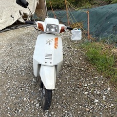 HONDA イブPAX AF14　実働　旧車　激安　入手困難　　の画像