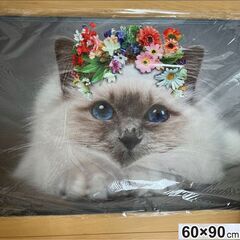 60×90　 可愛い猫　玄関マット　キッチンマット　裏に滑り止め有り