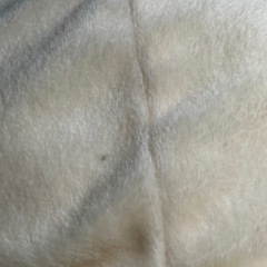 ☆値下げ☆A2505-180 すみっコぐらし ねこ ぬいぐるみ 汚れありの画像