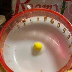 ハムスターケージの画像