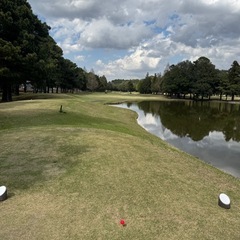 5月13日31カントリークラブ⛳️