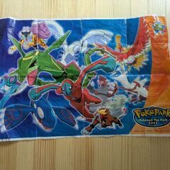 ポケモンのレジャーシート　名古屋で開催されたポケパークでの景品です。