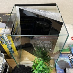 熱帯魚飼育関連　水槽、フィルター、濾過材など断捨離します。新品＋美品多数の画像