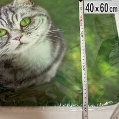 新品！未開封 60×40 可愛い猫　玄関マット　キッチンマット　...