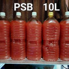 No.7【10L】　光合成細菌　PSB　メダカの水槽に、どうぞの画像