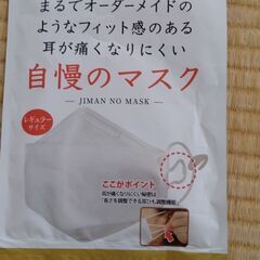 【新品】自慢のマスク　