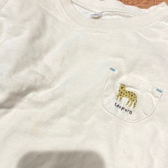 【90•95】女の子ショートパンツおまとめの画像