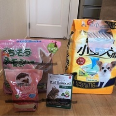 デグーお世話セット