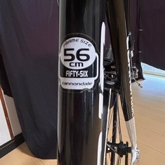CANNONDALE 10の画像