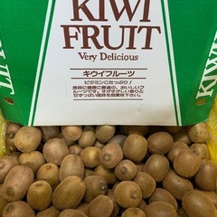 【受付終了】☆キウイフルーツ☆小中玉☆5kg（今季最終  ）の画像