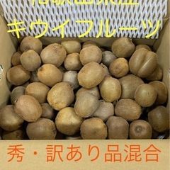 【受付終了】☆キウイフルーツ☆小中玉☆5kg（今季最終  ）の画像