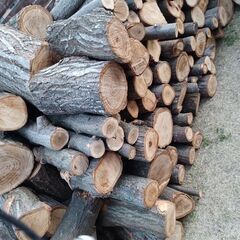広葉樹の薪　いかがですか？