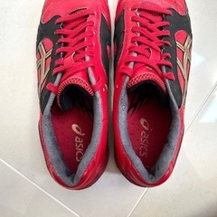 アシックス フットサルシューズ DESTAQUE 3J/テスタデッキ 3Jの画像