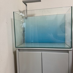 水槽セット