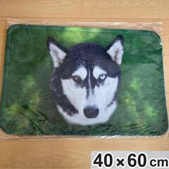 新品！未開封　40×60　 可愛い犬　玄関マット　キッチンマット...