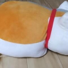 ニャンコ先生の画像