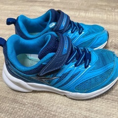 瞬足　16センチの画像