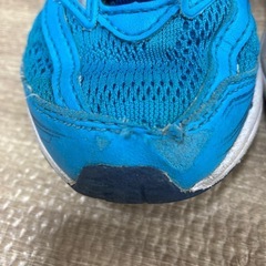 瞬足　16センチの画像