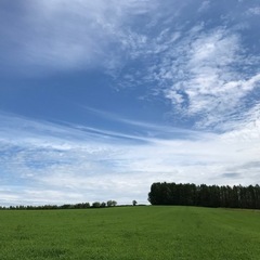 田植え補助作業！大量募集中！