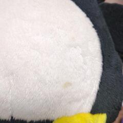 【無料】ぬいぐるみの画像