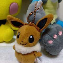 ポケモン　ルカリオ＆ピチュウ＆イーブイセットの画像