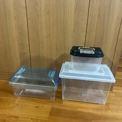 虫かご 3つセット