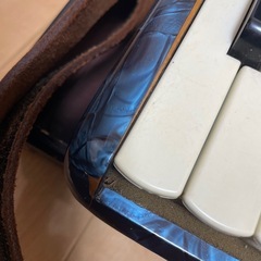 レトロ　アコーディオンの画像