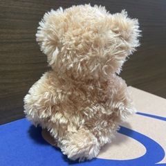 クマぬいぐるみの画像