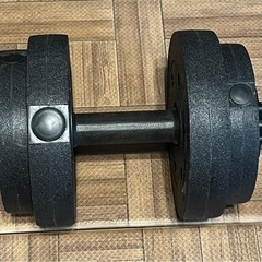 ディップスタンド、ベンチ、その他筋トレセットの画像