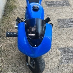 イーグル　ポケバイの画像